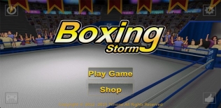 9 Super K.O. Boxing 2