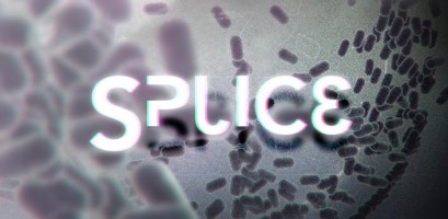 Splice