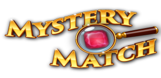  Mystery Match