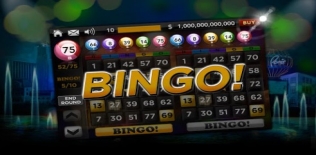 Bingo™